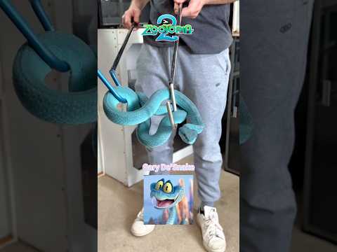 Animals in Zootopia#Zootopia2#Zootropolis#Disney#Zootopie#shakira