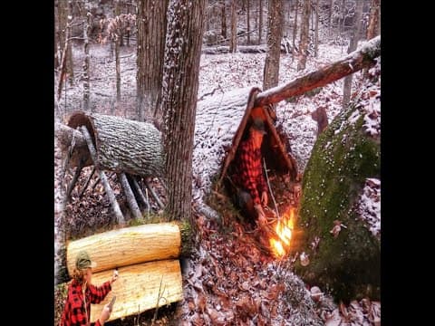 WINTER BUSHCRAFT BUILD NATURAL PRIMITIVE BARK ROOF SHELTER Campfire Cooking in Snow #Shorts
