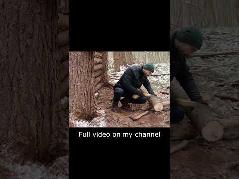 Building a Warm Shelter in the Wild Forest Shorts