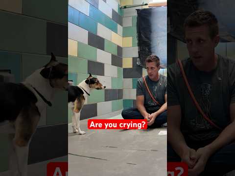 Can a Simple Song Save this Lonely Shelter Pup? 🥹