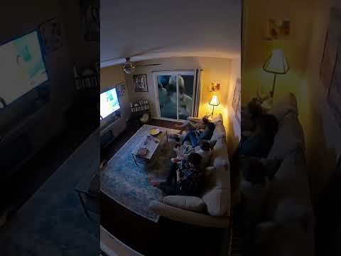 WORST. 🍿 MOVIE NIGHT. EVER. 🦁😱 #shorts #lion #scary #fail